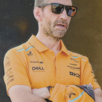 76 Andrea Stella (McLaren)