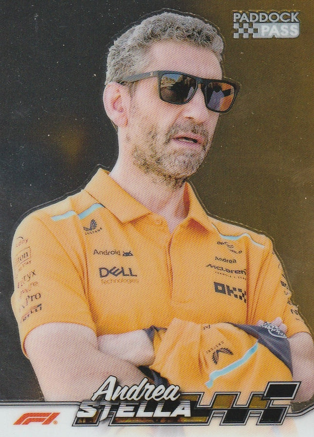 76 Andrea Stella (McLaren)