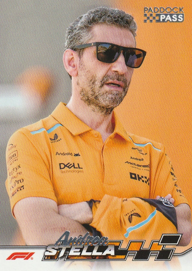 76 Andrea Stella (McLaren)