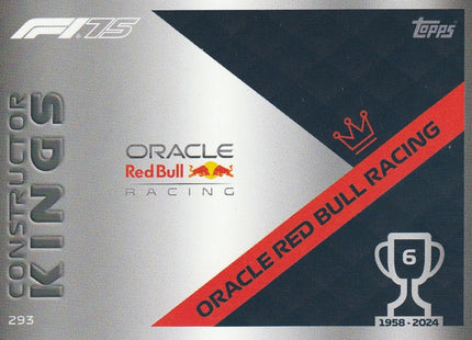 293 Oracle Red Bull Racing