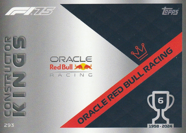 293 Oracle Red Bull Racing