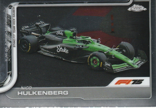 91 Nico Hulkenberg (F1 Cars)